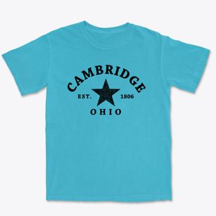 Cambridge Ohio Star Premium Heavyweight T-shirt