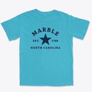Marble North Carolina Star Premium Heavyweight T-shirt