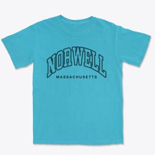 Norwell Massachusetts Inline Premium Heavyweight T-shirt