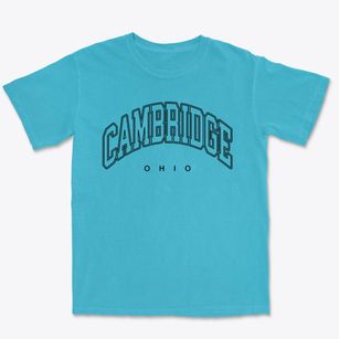 Cambridge Ohio Inline Premium Heavyweight T-shirt
