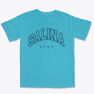 Salina Utah Inline Premium Heavyweight T-shirt