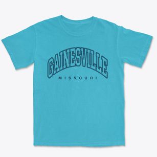 Gainesville Missouri Inline Premium Heavyweight T-shirt