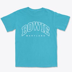 Bowie Maryland Inline Premium Heavyweight T-shirt