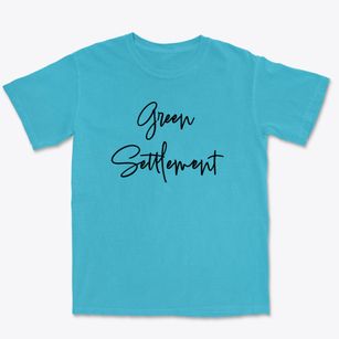 Green Settlement New York Freestyle Premium Heavyweight T-shirt