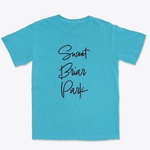 Sweet Briar Park Virginia Freestyle Premium Heavyweight T-shirt