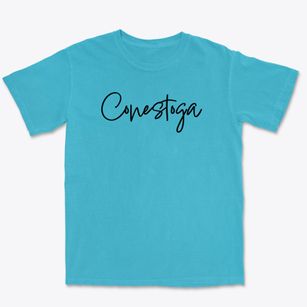 Conestoga Pennsylvania Freestyle Premium Heavyweight T-shirt