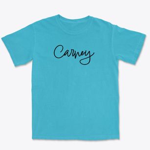 Carney Michigan Freestyle Premium Heavyweight T-shirt
