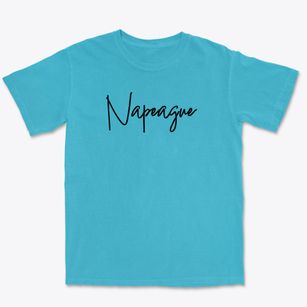 Napeague New York Freestyle Premium Heavyweight T-shirt