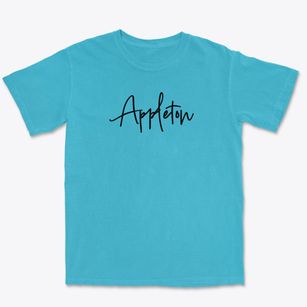 Appleton Tennessee Freestyle Premium Heavyweight T-shirt
