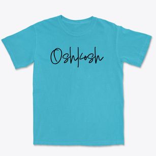 Oshkosh Wisconsin Freestyle Premium Heavyweight T-shirt