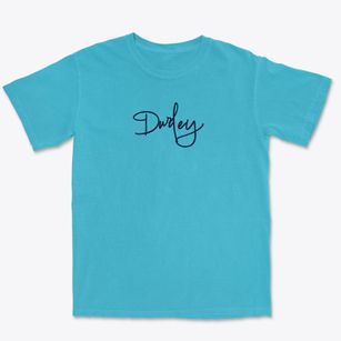 Durley Illinois Freestyle Premium Heavyweight T-shirt