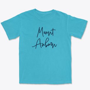 Mount Auburn Illinois Freestyle Premium Heavyweight T-shirt