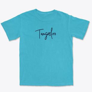 Tougaloo Mississippi Freestyle Premium Heavyweight T-shirt