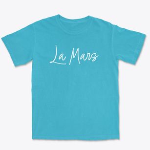 La Mars North Dakota Freestyle Premium Heavyweight T-shirt