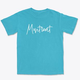 Montreat North Carolina Freestyle Premium Heavyweight T-shirt