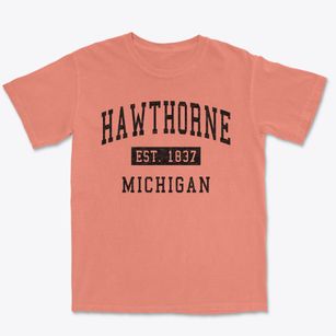 Hawthorne Michigan Classic Established Premium Heavyweight T-shirt
