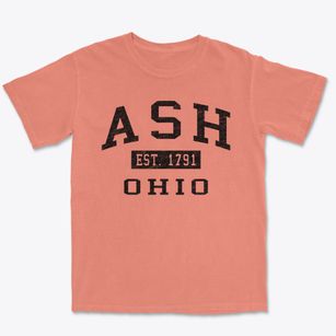 Ash Ohio Classic Established Premium Heavyweight T-shirt