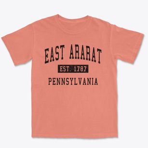 East Ararat Pennsylvania Classic Established Premium Heavyweight T-shirt