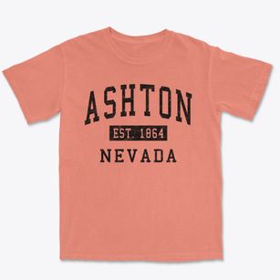 Ashton Nevada Classic Established Premium Heavyweight T-shirt