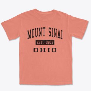 Mount Sinai Ohio Classic Established Premium Heavyweight T-shirt