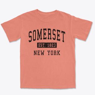 Somerset New York Classic Established Premium Heavyweight T-shirt