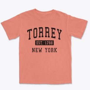 Torrey New York Classic Established Premium Heavyweight T-shirt