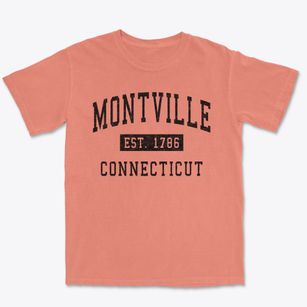 Montville Connecticut Classic Established Premium Heavyweight T-shirt
