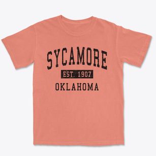 Sycamore Oklahoma Classic Established Premium Heavyweight T-shirt