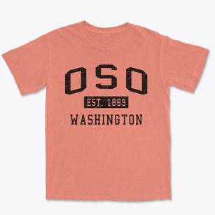 Oso Washington Classic Established Premium Heavyweight T-shirt