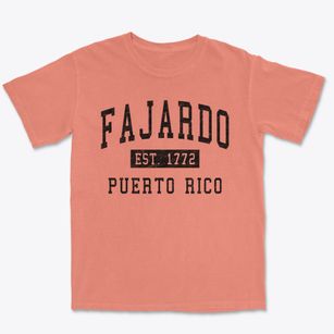 Fajardo Puerto Rico Classic Established Premium Heavyweight T-shirt