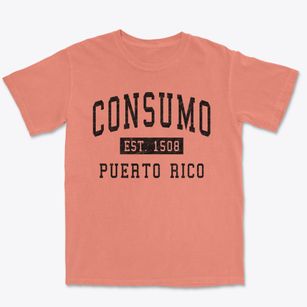 Consumo Puerto Rico Classic Established Premium Heavyweight T-shirt