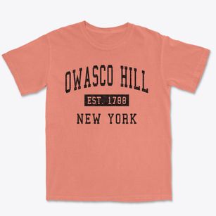 Owasco Hill New York Classic Established Premium Heavyweight T-shirt