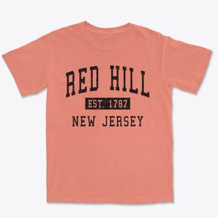 Red Hill New Jersey Classic Established Premium Heavyweight T-shirt
