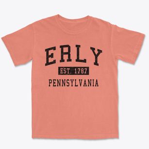 Erly Pennsylvania Classic Established Premium Heavyweight T-shirt