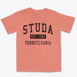 Studa Pennsylvania Classic Established Premium Heavyweight T-shirt
