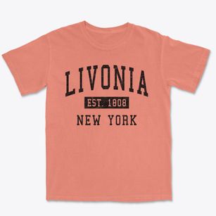 Livonia New York Classic Established Premium Heavyweight T-shirt