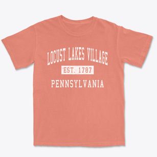 Locust Lakes Village Pennsylvania Classic Established Premium Heavyweight T-shirt