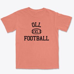 Our Lady Of Lourdes School Classic Football Premium Heavyweight T-shirt