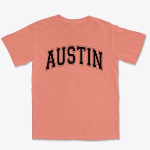 Austin Elementary School Varsity Arch Premium Heavyweight T-shirt