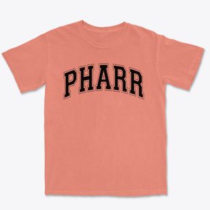 Pharr Elementary School Varsity Arch Premium Heavyweight T-shirt
