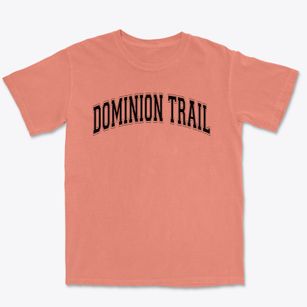 Dominion Trail Elementary School Varsity Arch Premium Heavyweight T-shirt