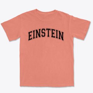 Albert Einstein Elementary School Varsity Arch Premium Heavyweight T-shirt