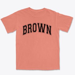 Brown Elementary School Varsity Arch Premium Heavyweight T-shirt