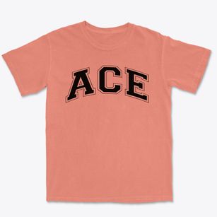 Ace Varsity Arch Premium Heavyweight T-shirt