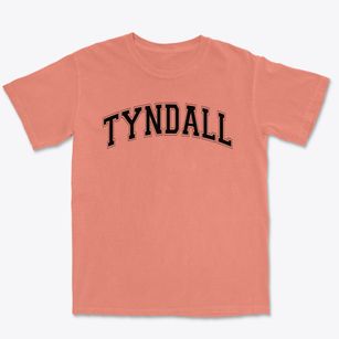 Tyndall Elementary School Varsity Arch Premium Heavyweight T-shirt