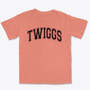 Twiggs Academy Varsity Arch Premium Heavyweight T-shirt