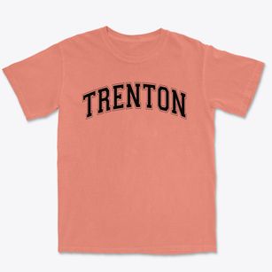 Trenton Elementary School Varsity Arch Premium Heavyweight T-shirt