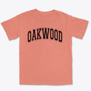 Oakwood Elementary School Varsity Arch Premium Heavyweight T-shirt