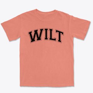 Wilt Elementary School Varsity Arch Premium Heavyweight T-shirt