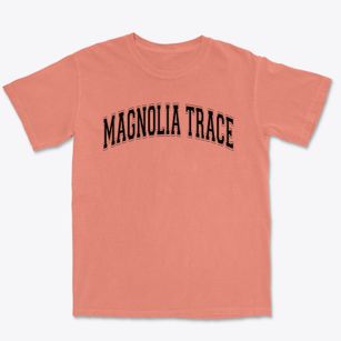 Magnolia Trace Elementary School Varsity Arch Premium Heavyweight T-shirt